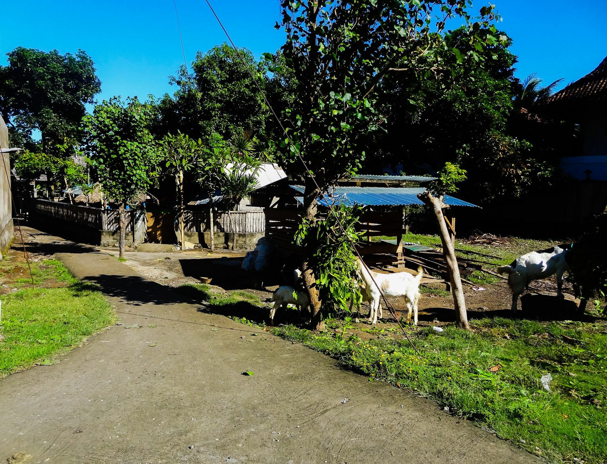 Teras Lombok Bungalow Senggigi Zewnętrze zdjęcie